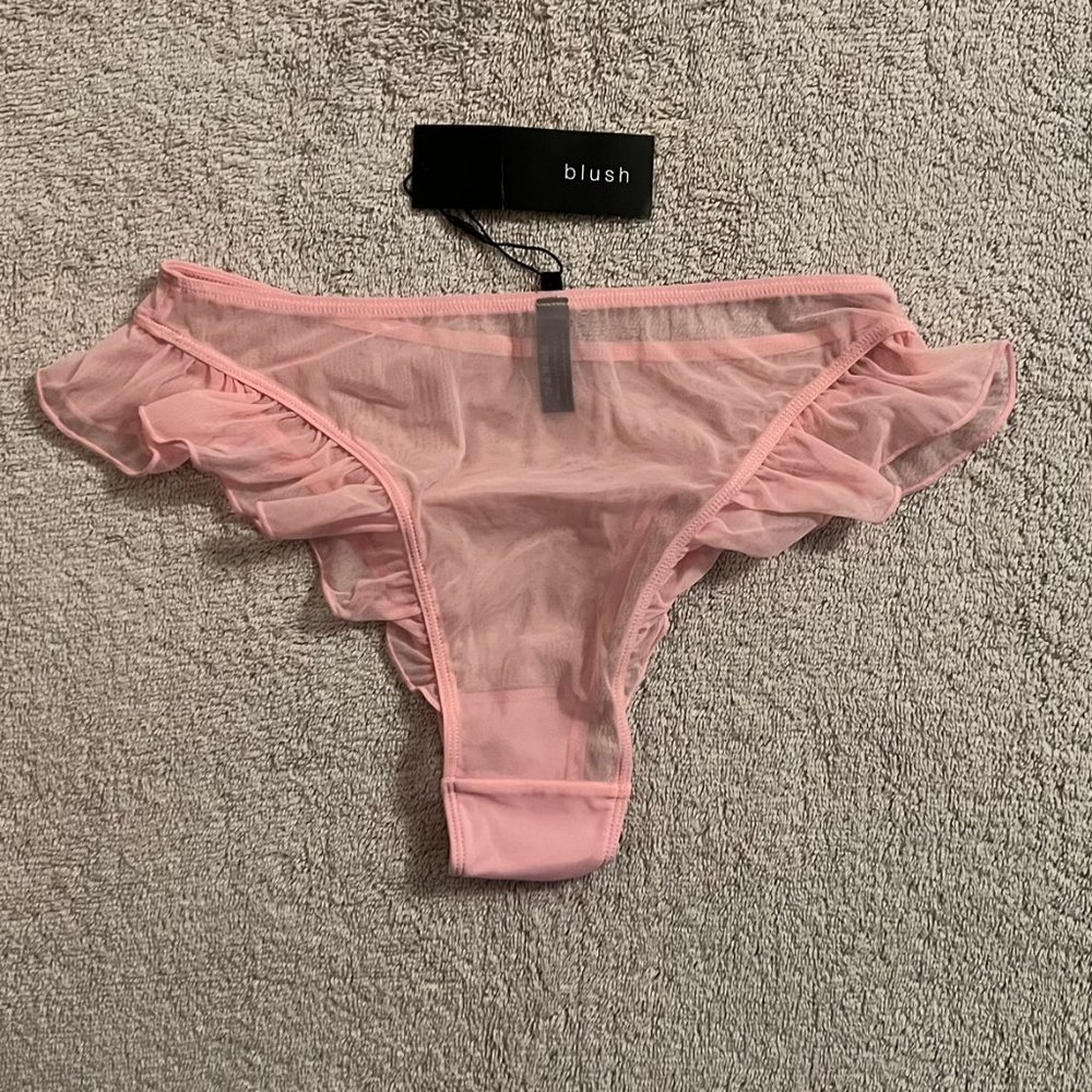 *RARE* Blush Lingerie - 'Flutter' High Leg Sheer Mesh Bikini - Picture 6 of 6